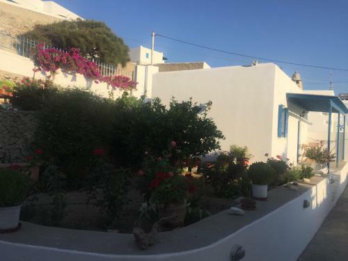 Cycladic Houses In Rural Surrounding 4