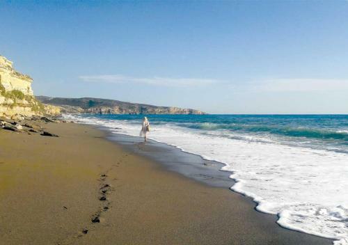 Apartamento Stonehouse Olivelia - Afrathias Beach