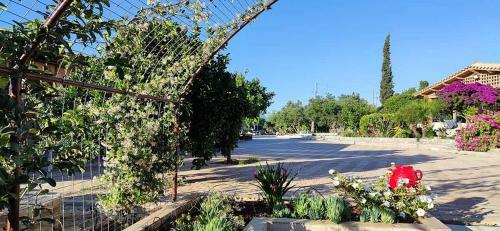 Apartamento Stonehouse Olivelia - Afrathias Beach