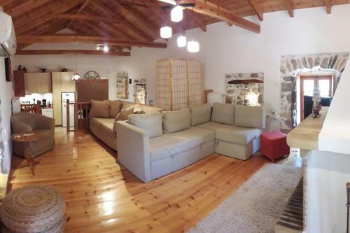 Theodora's Guest House