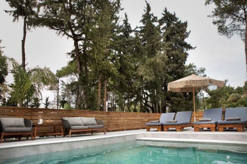 Apartamento Das�lio - Earthy Living Homes