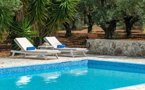 Olive Grove Villa