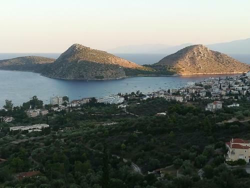 Stone House In Olive Grove