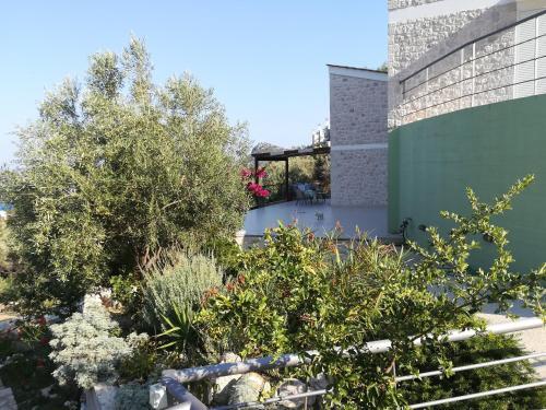 Stone House In Olive Grove