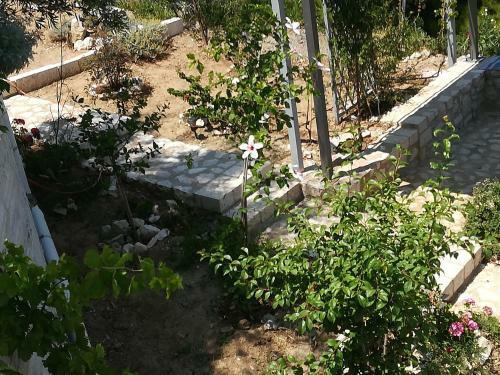 Stone House In Olive Grove