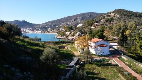 Stone House In Olive Grove