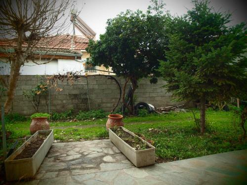 Apartamento Adam's House