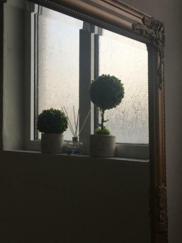 Cozy And Quiet Mini City Apartment