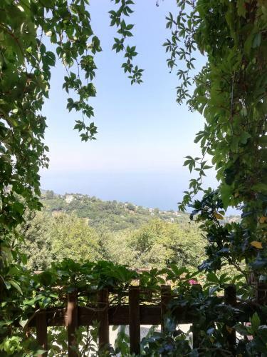 Hostal Villa Horizon