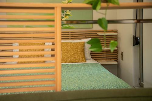 Mediterranean Olive Lemon-alternative Pool & Garden