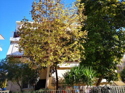 Cozy Three Bedroom Apartment In Varkiza