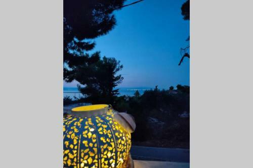 Villa Pines Seaview Cottage