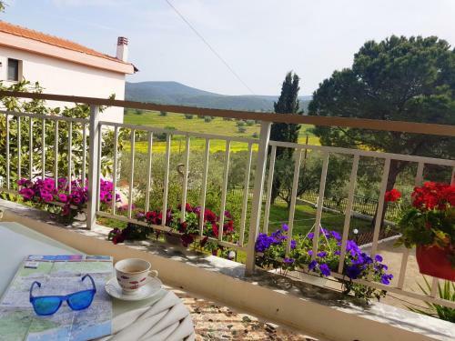 Villa Milenitta