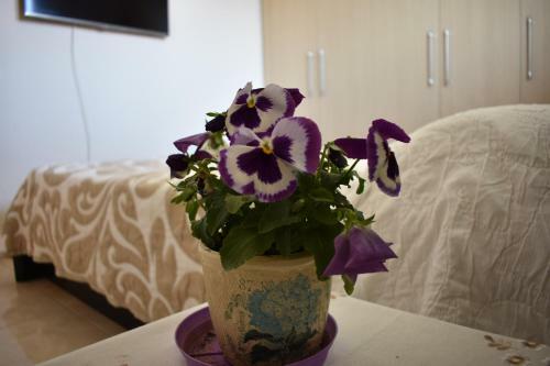 Small Apartment, Great View!