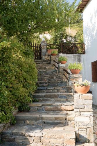 Pelion House With Wonderful View