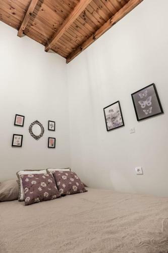 Villa Carlo Vivari House