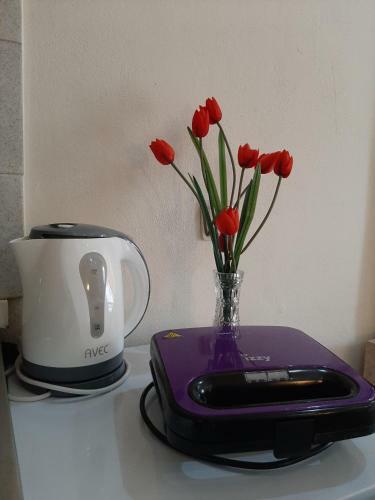 Apartamento Gardenos Mamas Reas