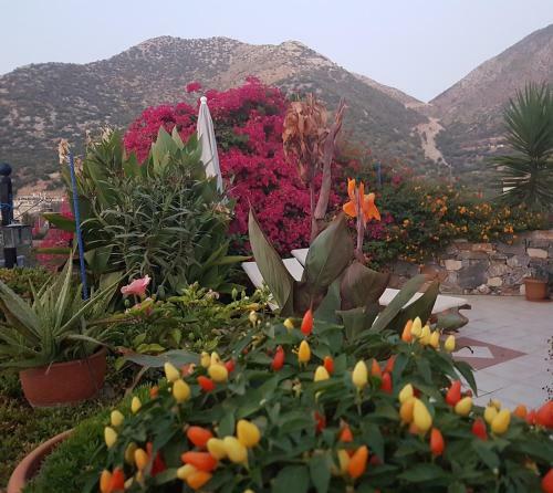Sea Flower Villa Bali Crete