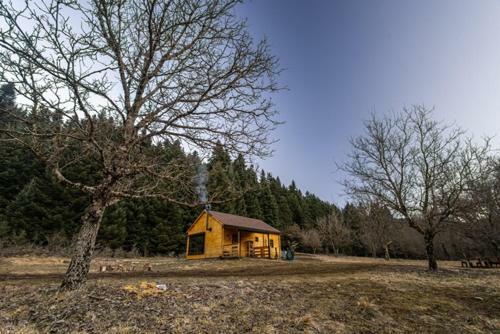 Wood Cabin By The River - For Nature Lovers
