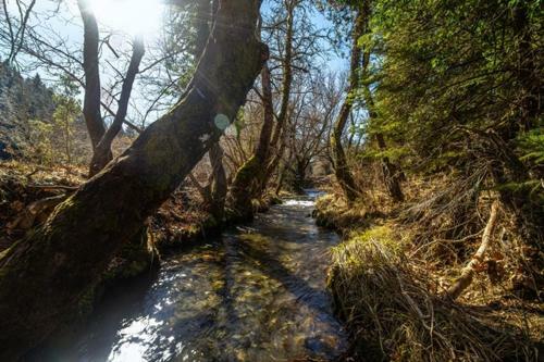 Wood Cabin By The River - For Nature Lovers