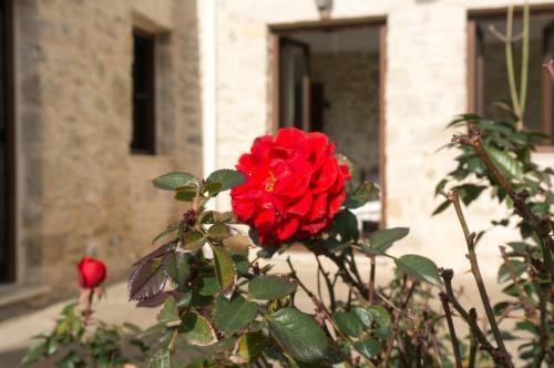 Kazantzakis House