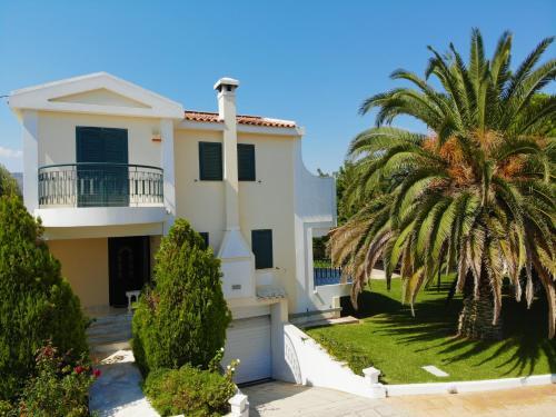 Palmar Club - Villa Zenobia