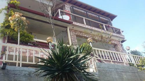 Hostal Guesthouse Zografia