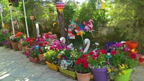 Primavera Holiday Home