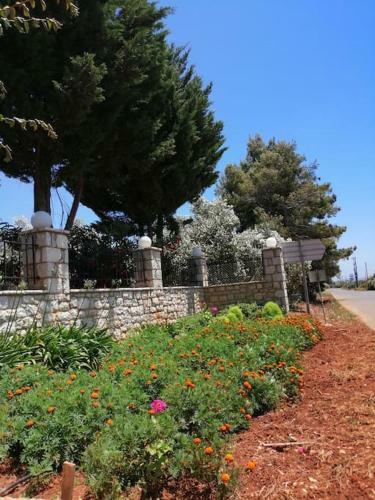 Pelani Stonehouse