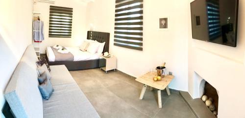 Villa Riqionian House