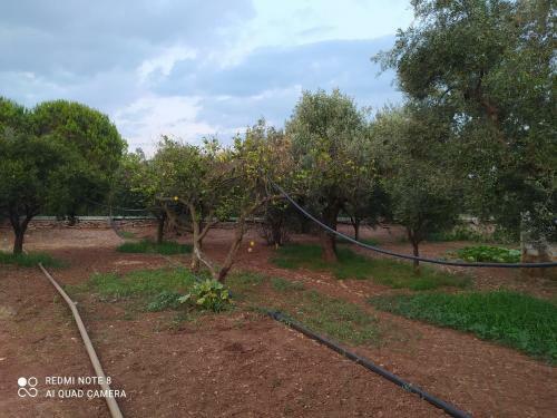 Ozena Countryside Apartment