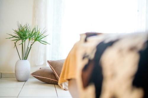 Apartamento Luxury House