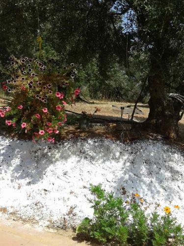 Calm And Top View In Chania Countryside