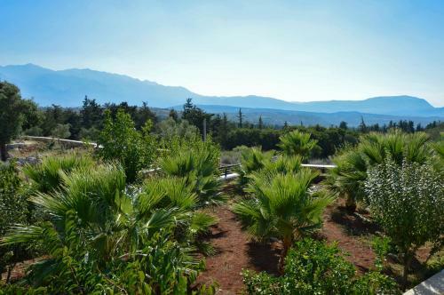 Villa Stelios-ch