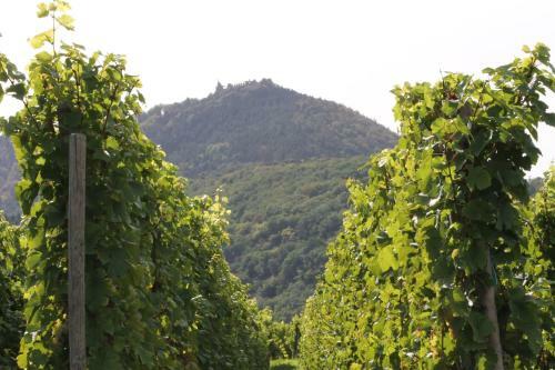 Bed & Breakfast Chambres D'h�tes Arnold