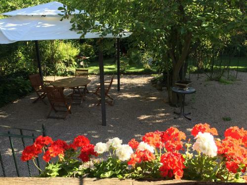 Apartamento Gites La Cour Zaepffel