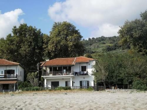 Beach House