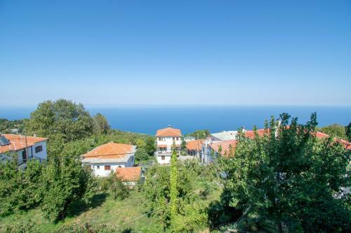 Hostal Traditional Guesthouse 4 Epoches
