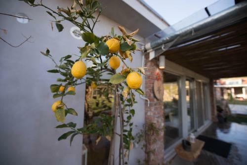 Apartamento Sinanis Garden House