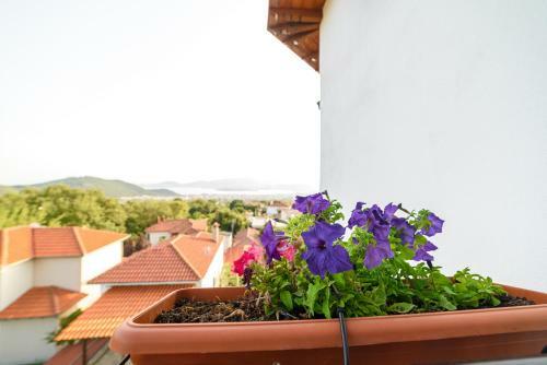 Apartamento Mansion Chalatsopoulos