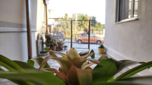 Apartamento Luxury Detached House