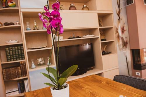 Apartamento Voloxenia