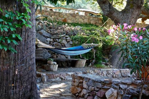 Wellanidia Cottage Skoutari