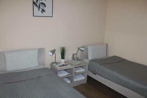 Mesochoriou Apartment