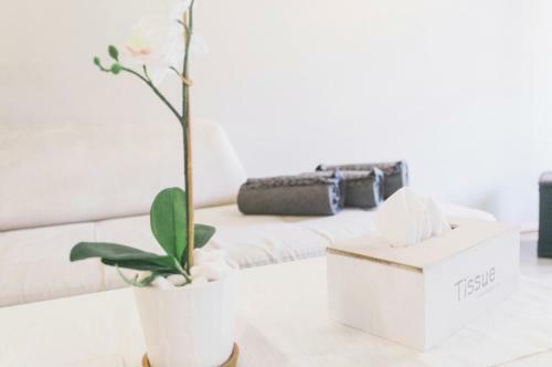 Apartamento 95sqm 7mincenter Gas Heating 2ac Opticalfiber 2 Smart Netflix
