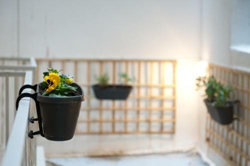 Apartamento C.1 City Rose