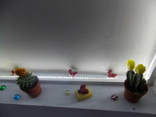 Apartamento Ayasofia Studio