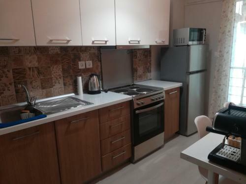 Central Apartment