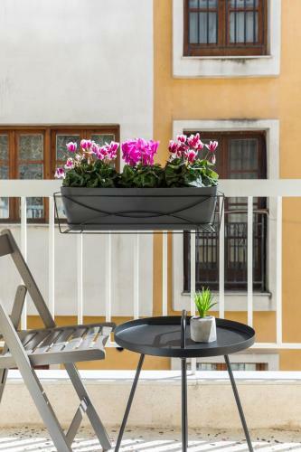 Apartamento Homey Skg
