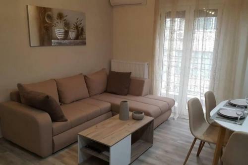 Downtown City Apartment